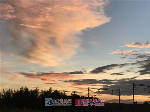 Ani(红星园艺场).jpg Ani(红星园艺场).jpg