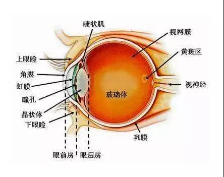 微信图片_20180626221941.jpg 微信图片_20180626221941.jpg
