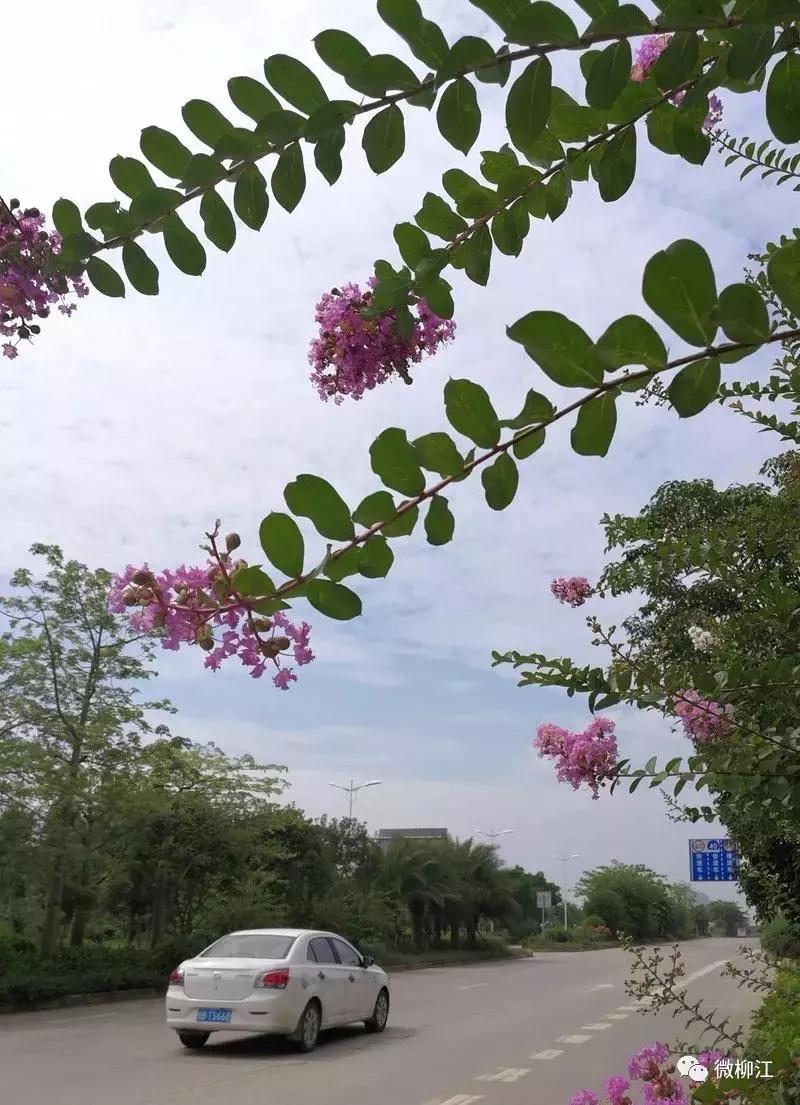 微信图片_20180627134815.jpg 微信图片_20180627134815.jpg
