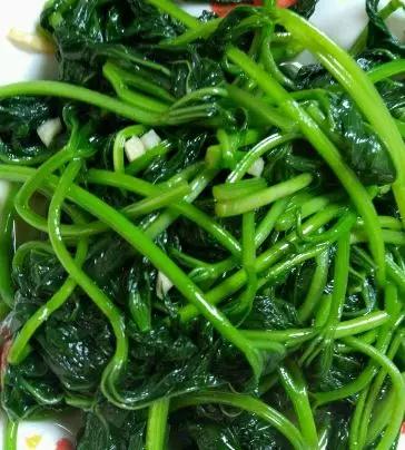 @柳州人，你还在吃红薯叶吗？赶紧看看吧！