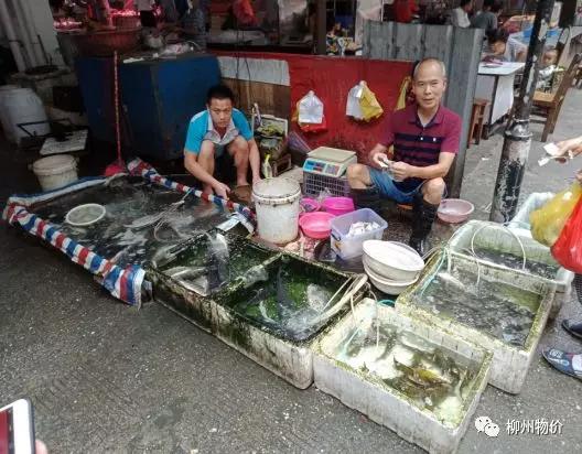 微信图片_20180628093102.jpg