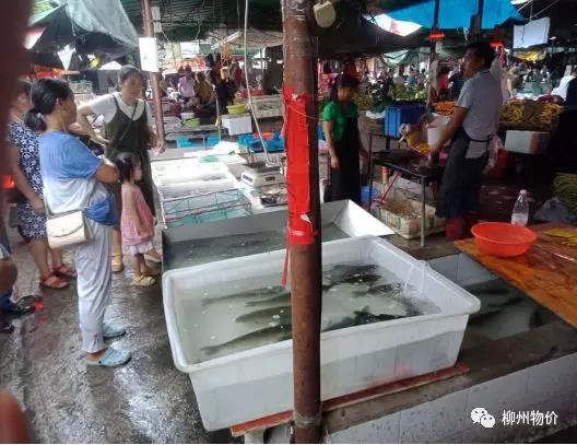 微信图片_20180628093213.jpg