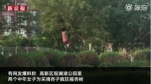 微信截图_20180628173425.png 微信截图_20180628173425.png