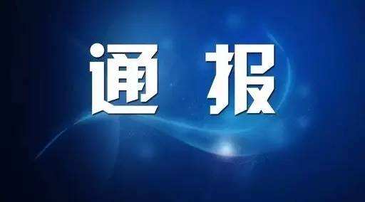 关于柳江区兴和佳苑小区1#楼房屋墙体开裂漏水脱落问题的调查通报