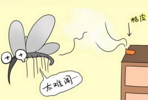 微信图片_20180630125905.jpg