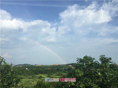 微信图片_201807021734501.jpg