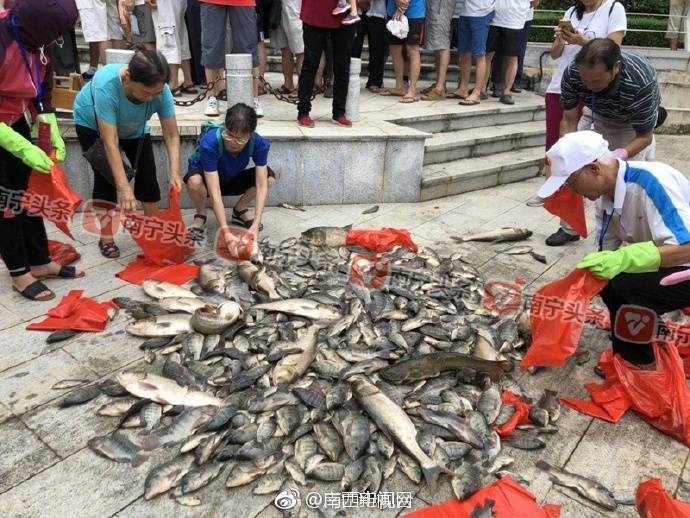 微信图片_20180702195549.jpg 微信图片_20180702195549.jpg