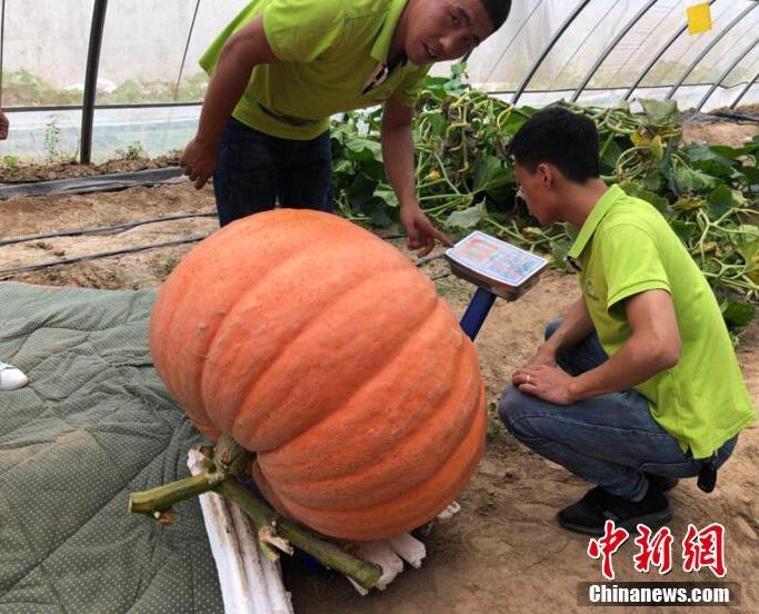 微信图片_20180702204639.jpg 微信图片_20180702204639.jpg