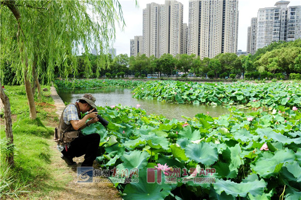 微信图片_20180703164356.jpg 微信图片_20180703164356.jpg