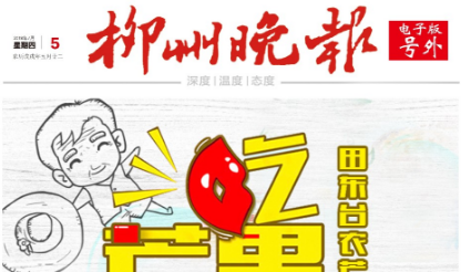 柳州晚报电子号外|吃芒果啦！田东台农芒果热卖中，48元5公斤直邮到家！