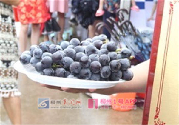 微信图片_20180707110848.jpg 微信图片_20180707110848.jpg
