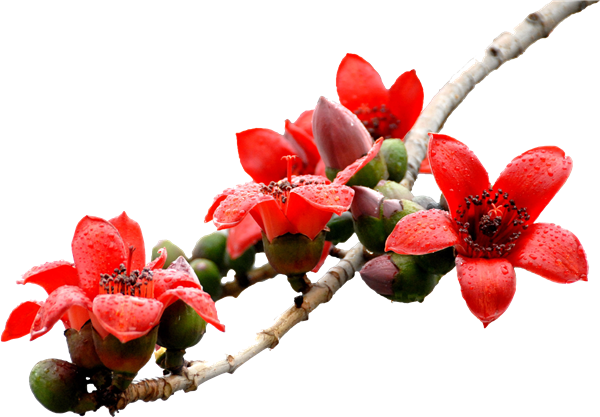 5656a68735cea 副本.png 5656a68735cea 副本.png