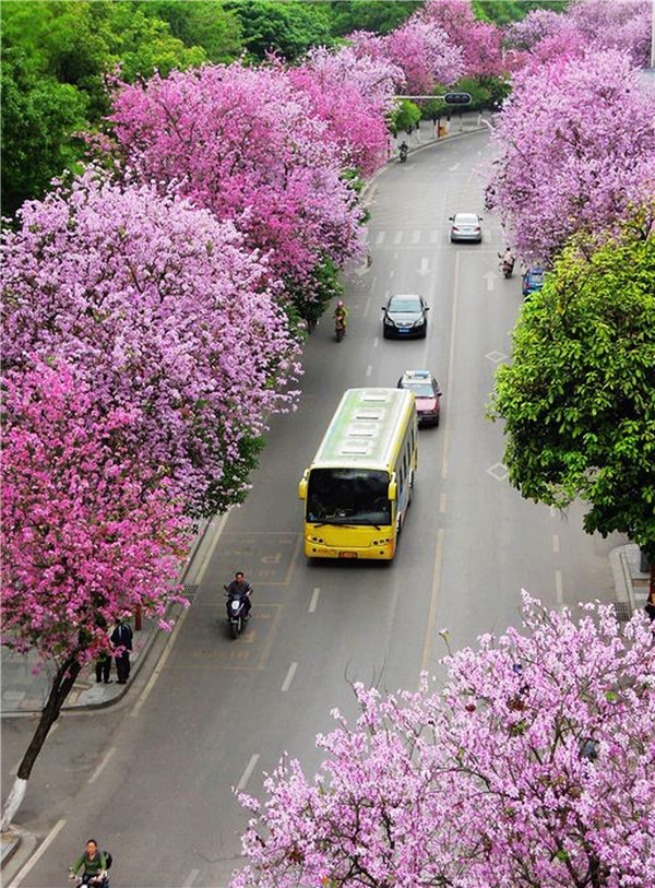 弯塘路2 副本.jpg