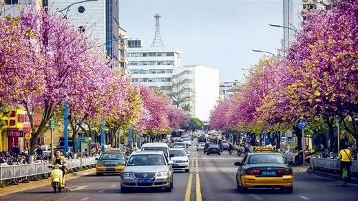 这条路将建成柳州“水景核心带”，住在这附近的居民有福啦！