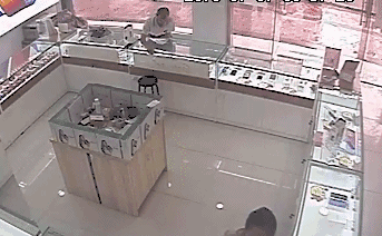 222.gif 222.gif