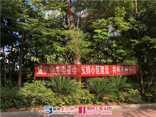 微信图片_20180712104728.jpg 微信图片_20180712104728.jpg