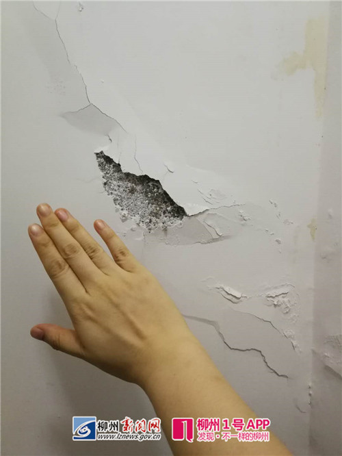 微信图片_20180712104735.jpg 微信图片_20180712104735.jpg