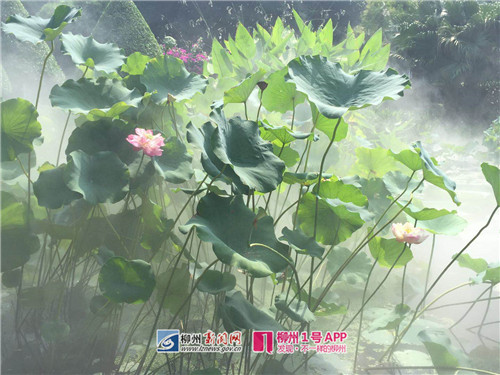 微信图片_20180712102210.jpg 微信图片_20180712102210.jpg