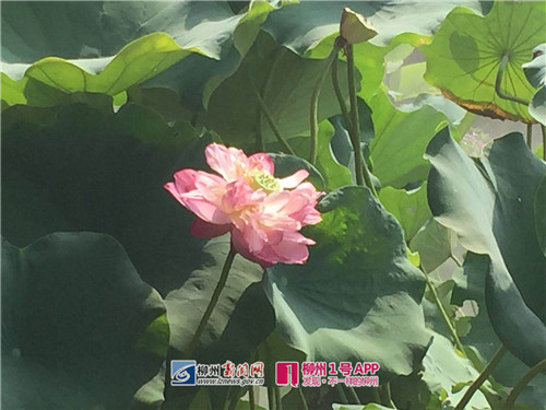 微信图片_20180712102220.jpg 微信图片_20180712102220.jpg