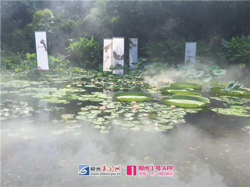 微信图片_20180712102201.jpg 微信图片_20180712102201.jpg