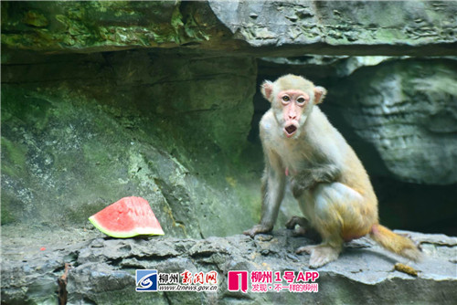 微信图片_20180713184809.jpg 微信图片_20180713184809.jpg