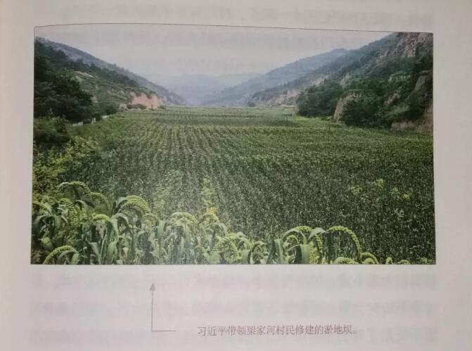 QQ截图20180716110616.jpg