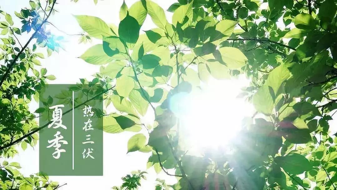 今日入伏 | 今年三伏天长达40天，最“煎熬”的日子来了