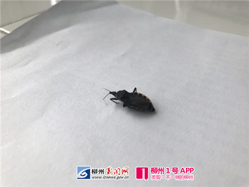 微信图片_20180717092612.jpg 微信图片_20180717092612.jpg