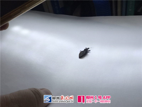 微信图片_20180717092617.jpg 微信图片_20180717092617.jpg
