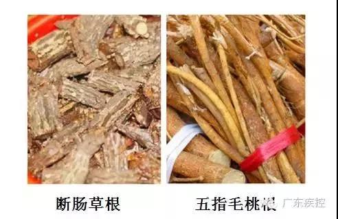 微信图片_20180717135827.jpg