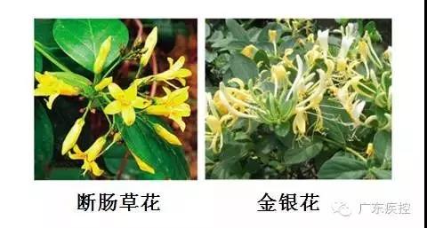 微信图片_20180717135830.jpg