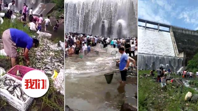 实拍-水库漫坝2万斤鱼“从天而降”__村民冲入河道疯抢_via@新京报我们视频.jpg 实拍-水库漫坝2万斤鱼“从天而降”__村民冲入河道疯抢_via@新京报我们视频.jpg
