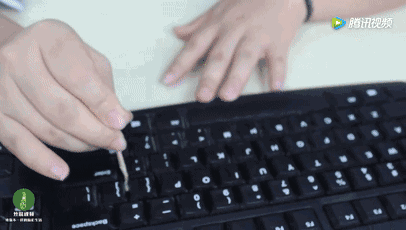 19.gif 19.gif