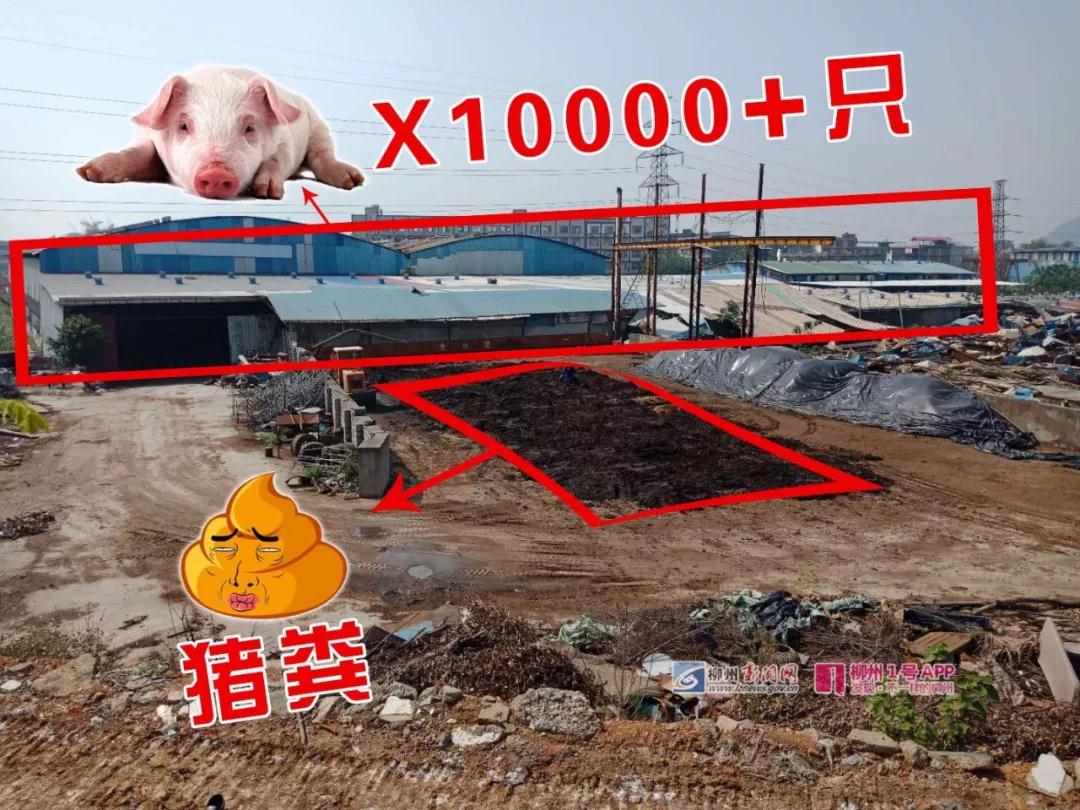 微信图片_20180721135524.jpg 微信图片_20180721135524.jpg