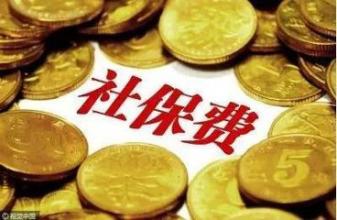 2019年起，社保费由税务部门征收 你要多缴费吗？