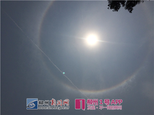 柳州气象台连续7天发布高温预警，今天将出现37℃+！明天“大暑”又到！