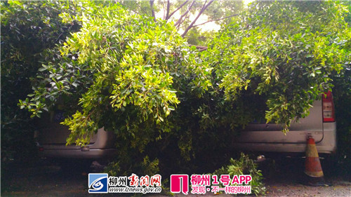 微信图片_20180722164609.jpg