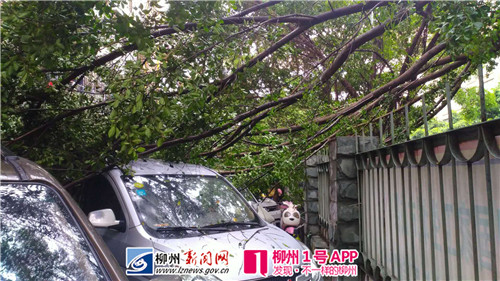 微信图片_20180722164615.jpg