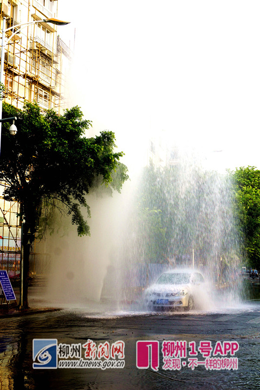 DSC09098_proc_副本.jpg