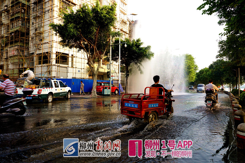 DSC09106_proc_副本.jpg