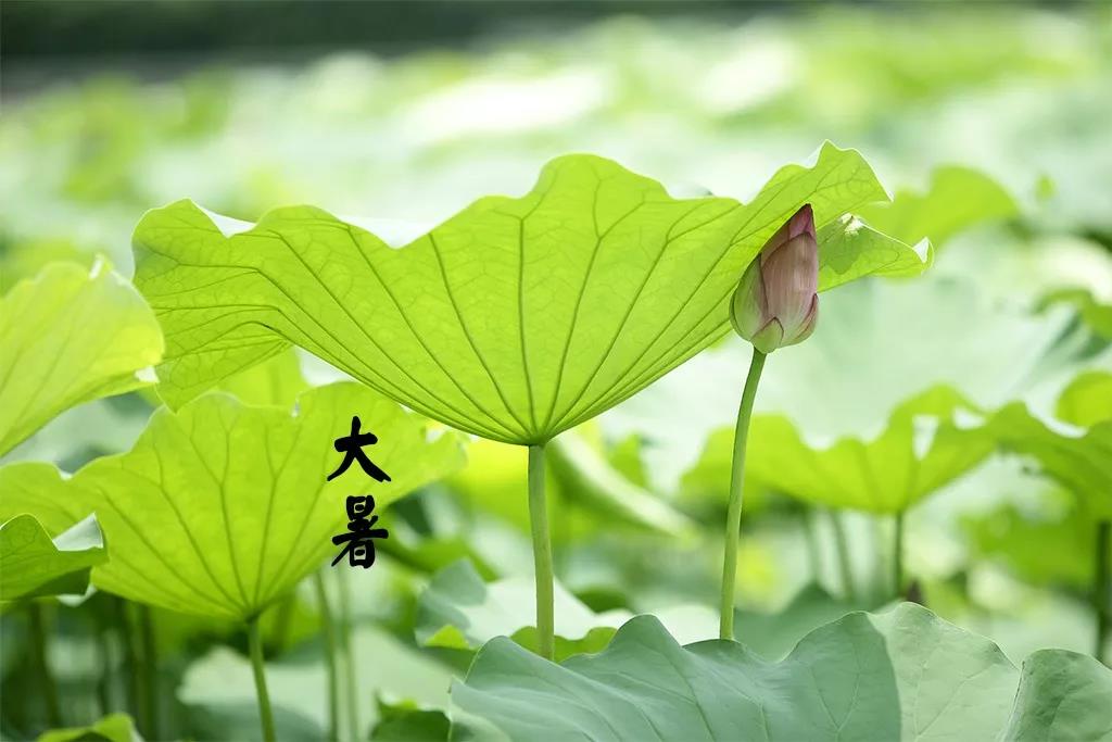微信图片_20180723074931.jpg