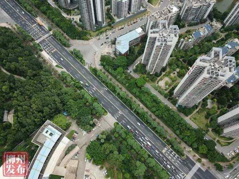 畅通无阻！我市又一条主干道“升级”成功，爽！