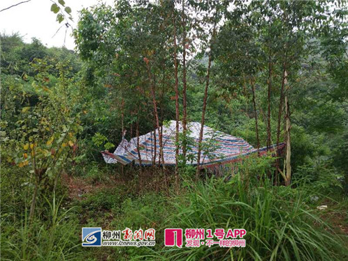 涉赌窝点一般位于偏僻的野外.jpg 涉赌窝点一般位于偏僻的野外.jpg