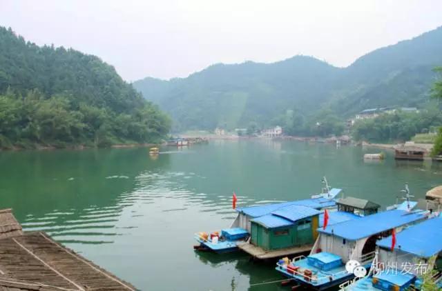 微信图片_20180726142025.jpg 微信图片_20180726142025.jpg