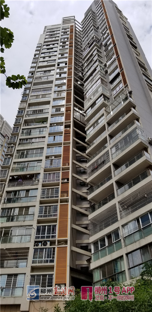 金沙角小区部分居民私自搭建“空中花园”，城管已介入调查