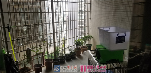 微信图片_201807262151581.jpg
