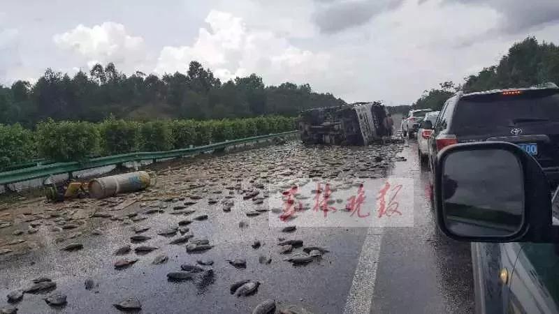 微信图片_20180727075358.jpg 微信图片_20180727075358.jpg