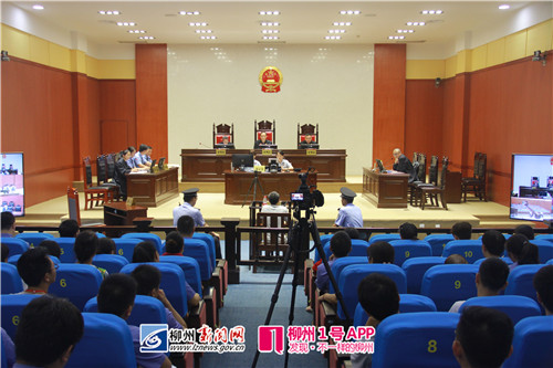 “12·2”保利大江郡凶杀案今日开庭  被告人柯柳明被控故意杀人罪