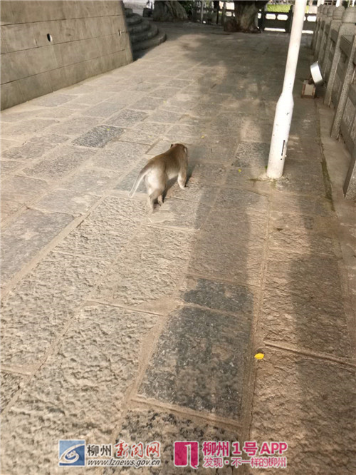 微信图片_20180801151907_副本.jpg 微信图片_20180801151907_副本.jpg