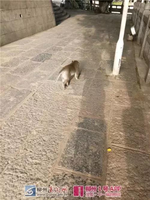 微信图片_20180802080457.jpg 微信图片_20180802080457.jpg